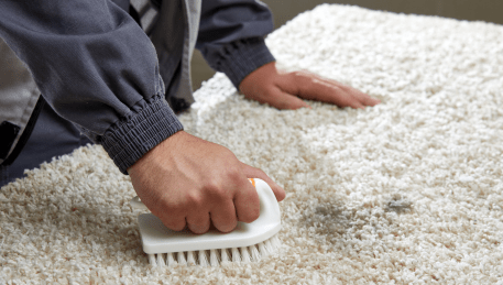 Professional Rug Cleaning Forest Hill